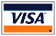 Visa Logo